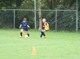 Eerste training SJO D.Z.C. '09/S.K.N.W.K. JO13-1 van het seizoen 2022-2023 (68/74)